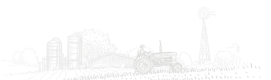 new arrivals background