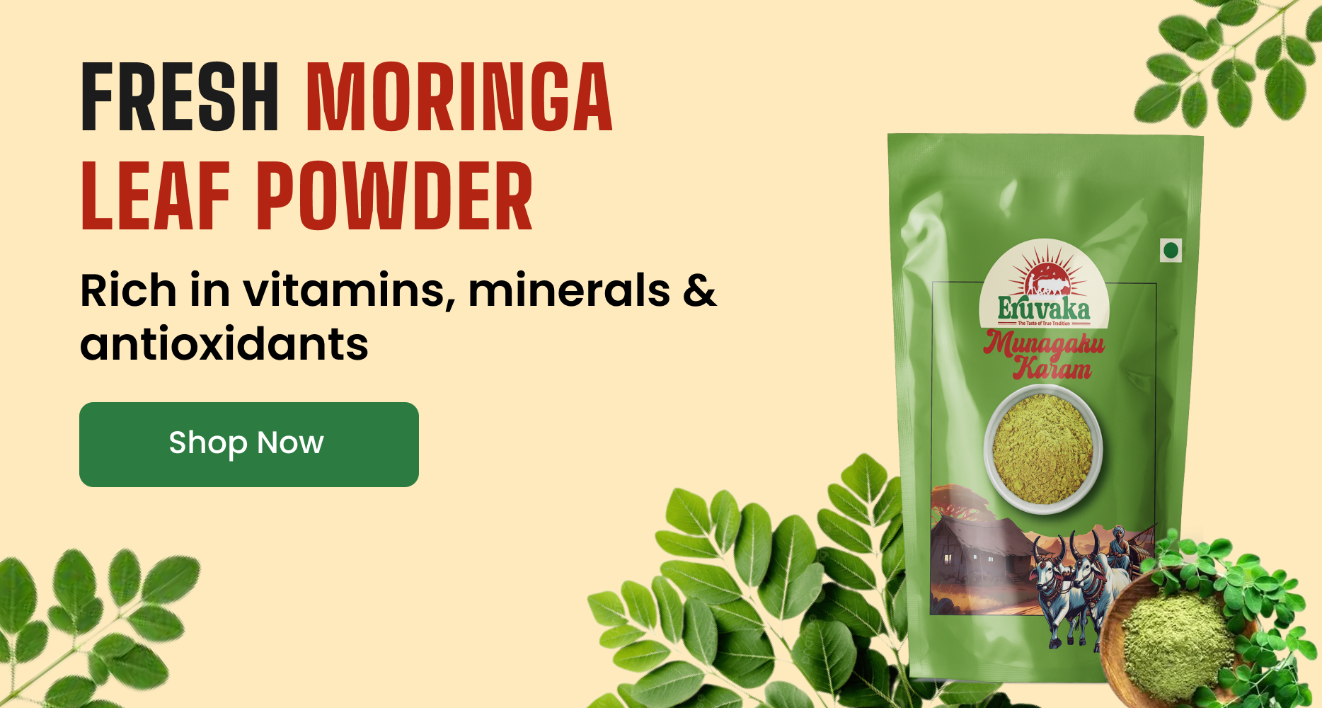 Fresh Moringa Leaf Powder